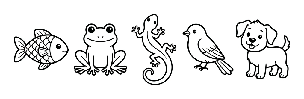Sorting Animal Groups