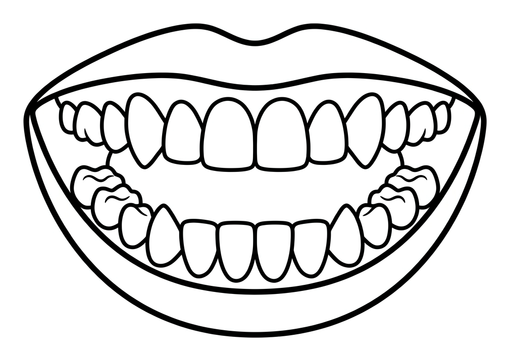 Animal Teeth and What They Eat