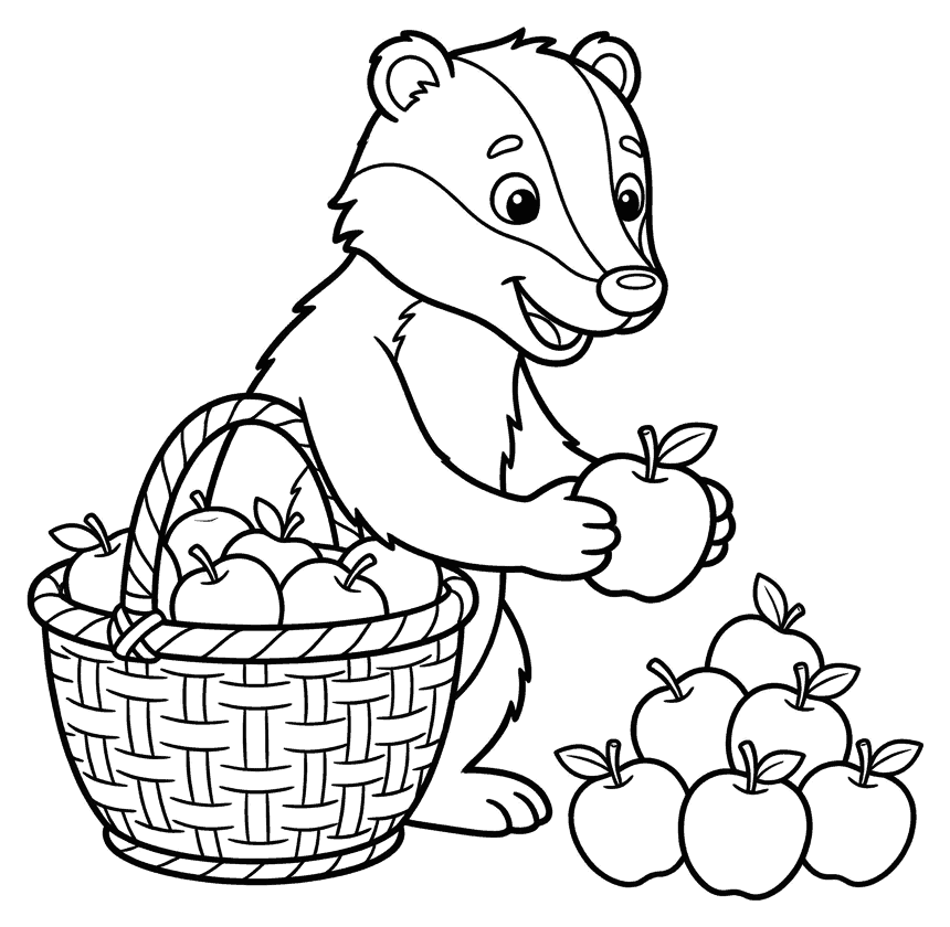 A cartoon badger taking apples out of a basket, drawn as black outlines on white for colouring in.