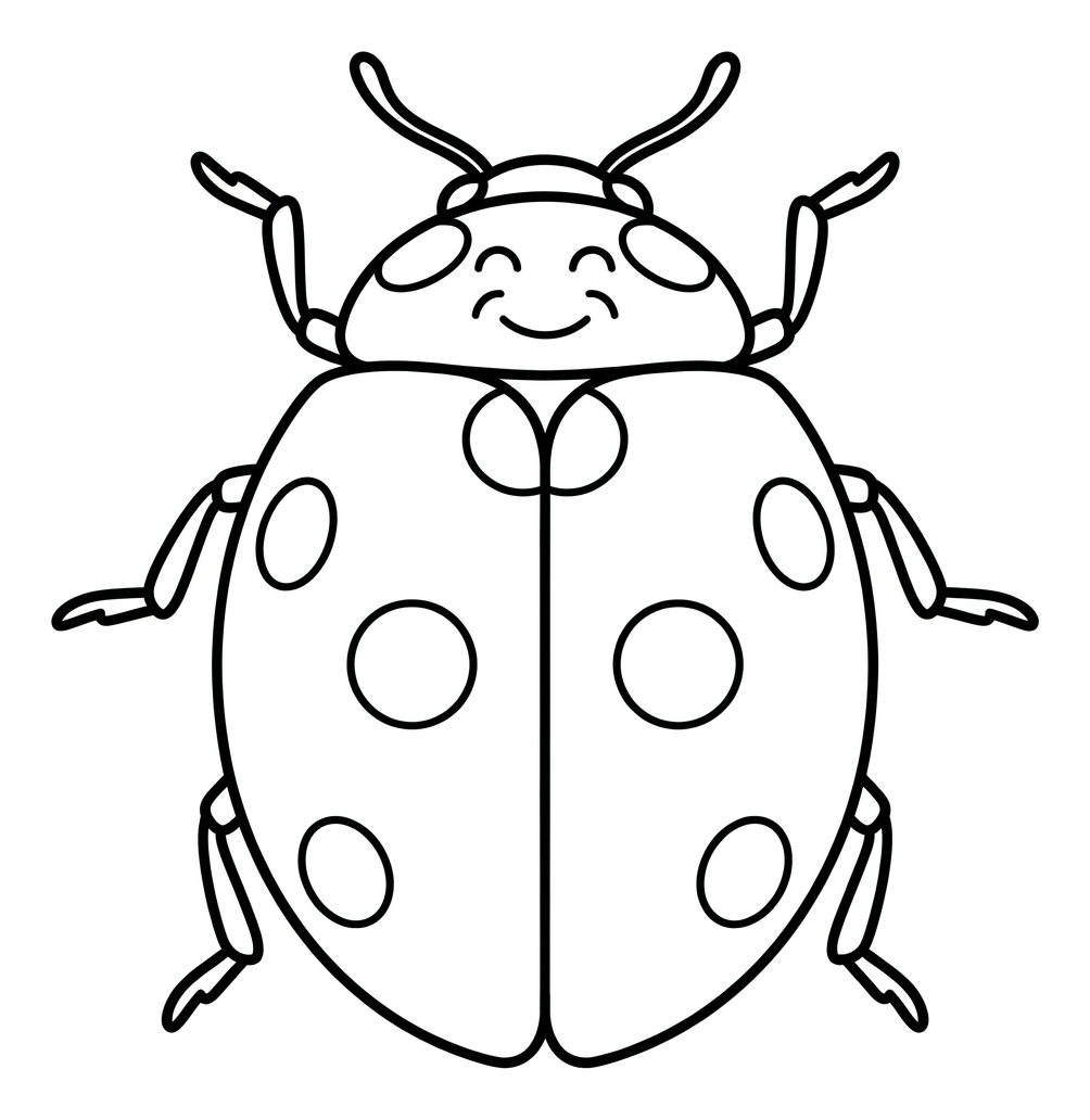 Count to 20: Ladybird Spots