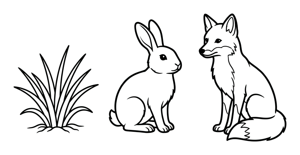 Build a Food Chain