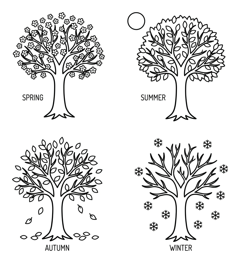The Four Seasons