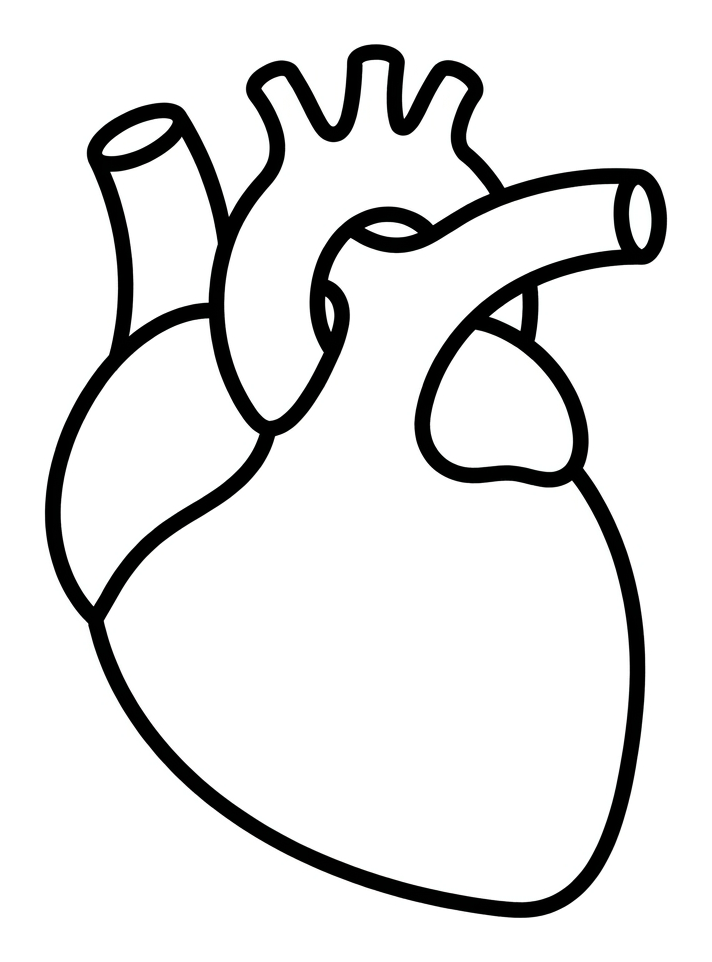The Heart and Healthy Exercise