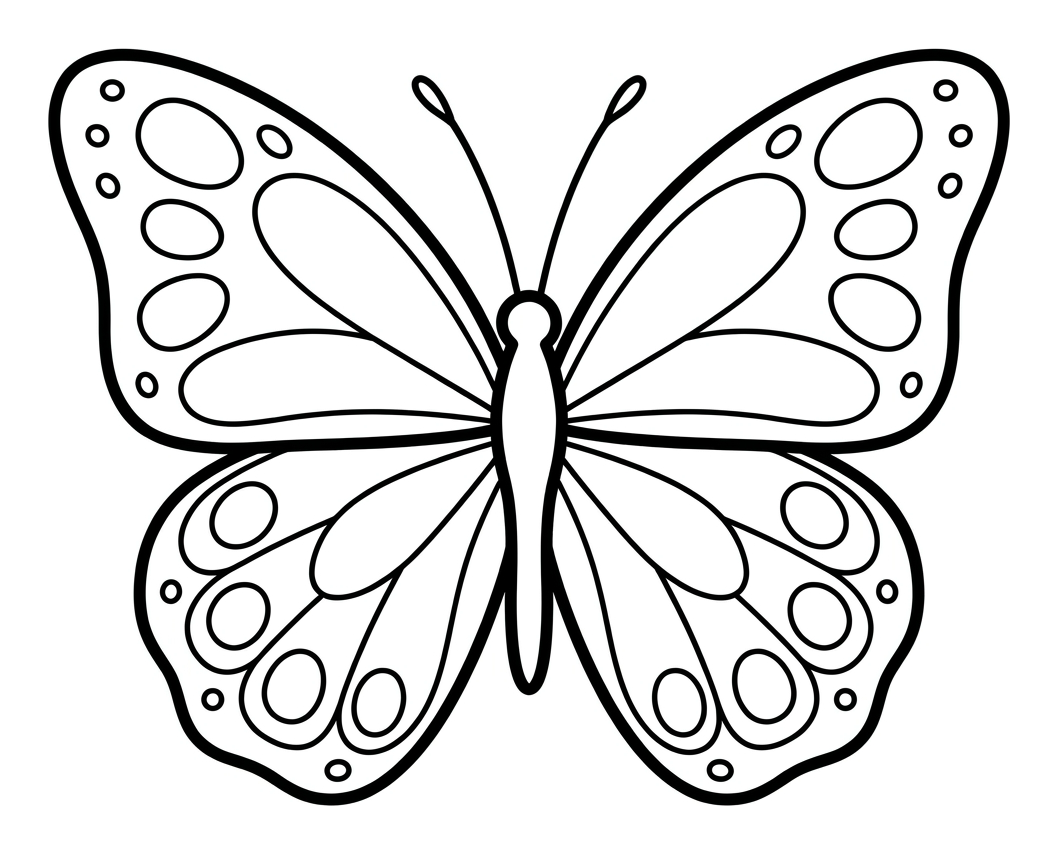 Butterfly Lines of Symmetry