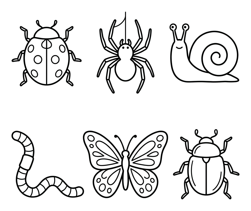 Make a Minibeast Classification Key