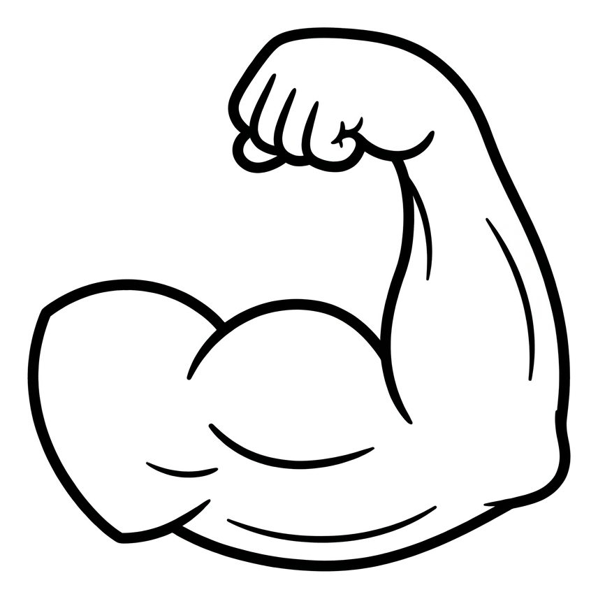 Muscles That Move Us