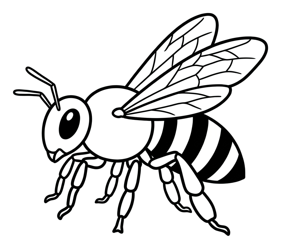 Label the Parts of a Bee
