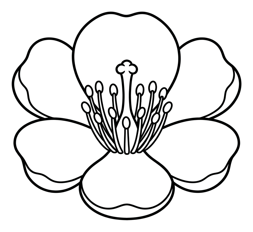 Inside a Flower