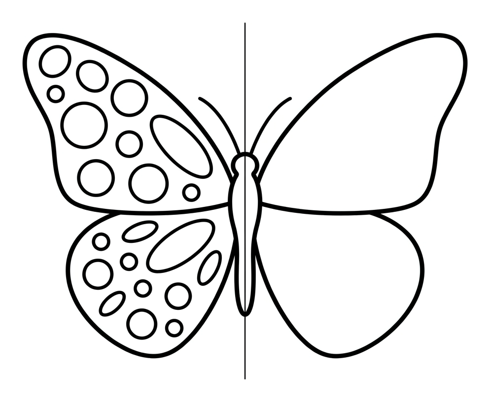 Symmetry: Finish the Butterfly