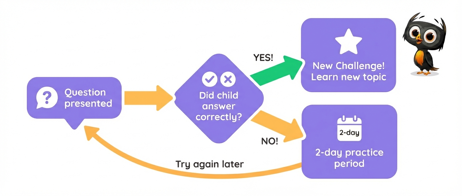 Flowchart showing how Owee adapts to correct and incorrect answers with smart question selection
